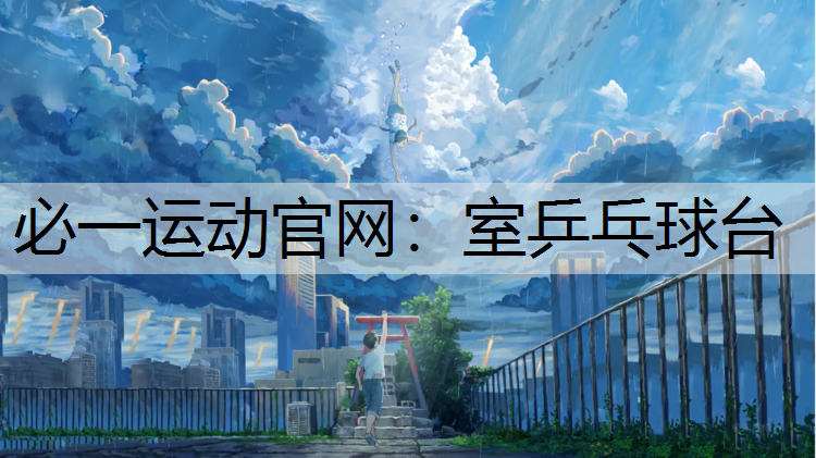 室乒乓球台 室乒乓球台