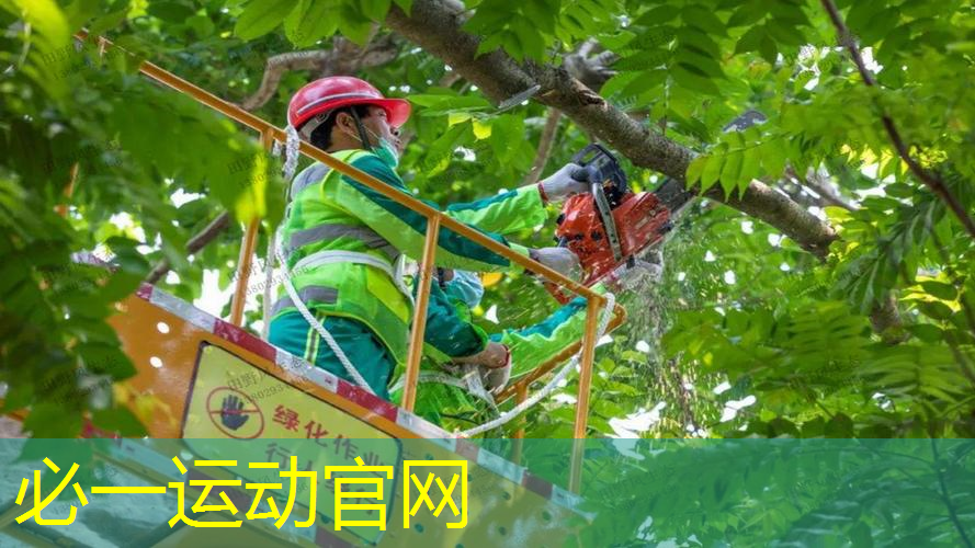 网球拍各种系列介绍图