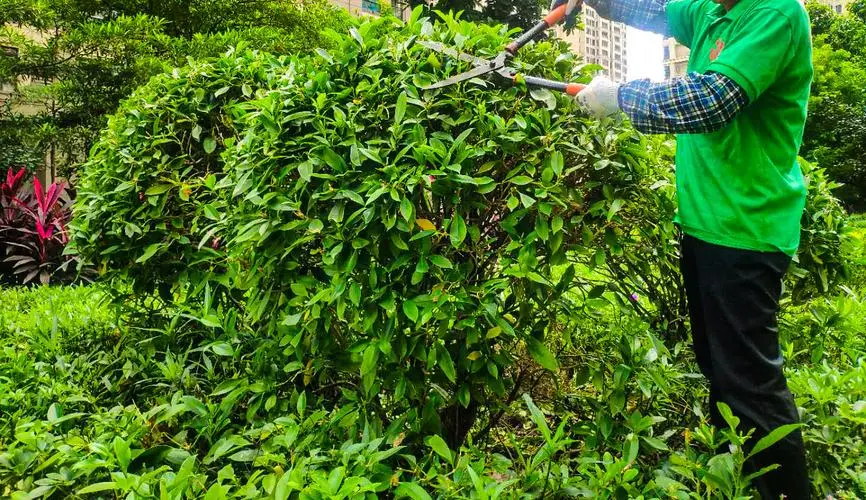 网球拍怎么会断胶