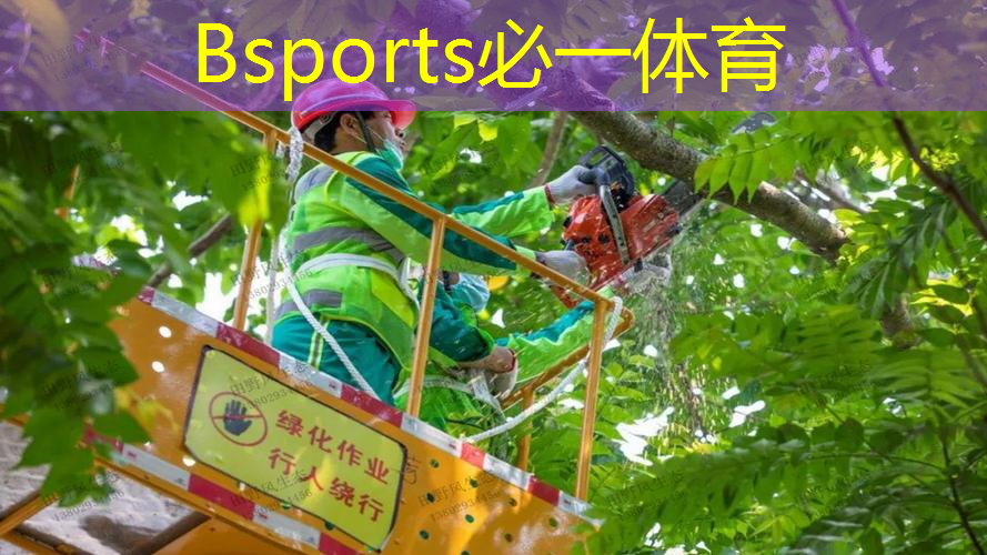 乒乓球台小彩虹