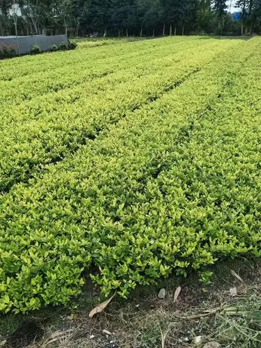欧美室内健身器材