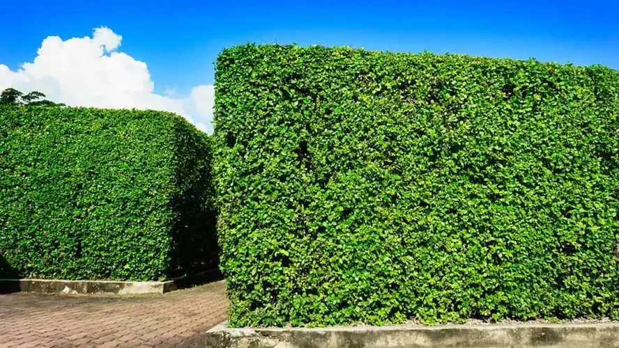 室外篮球训练器材推荐