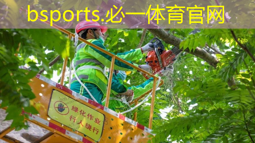乒乓球台光谷